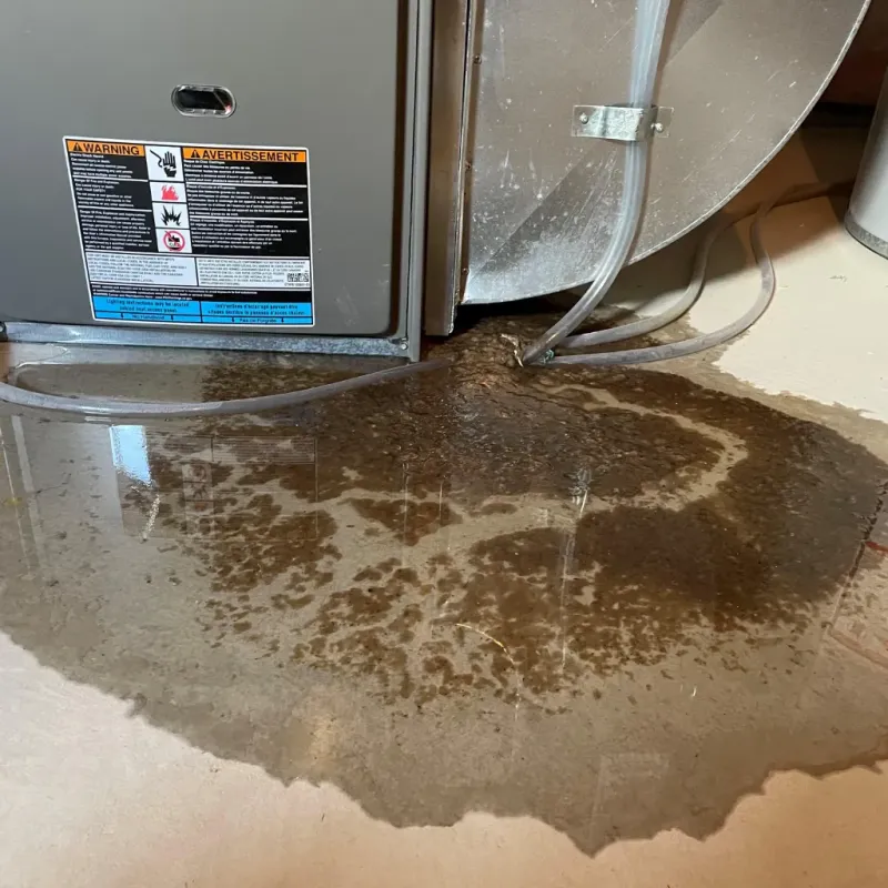 Appliance Leak Cleanup in Freeport, TX