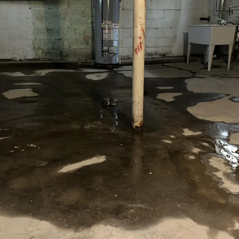 Emergency Water Extraction And Removal in Freeport, TX